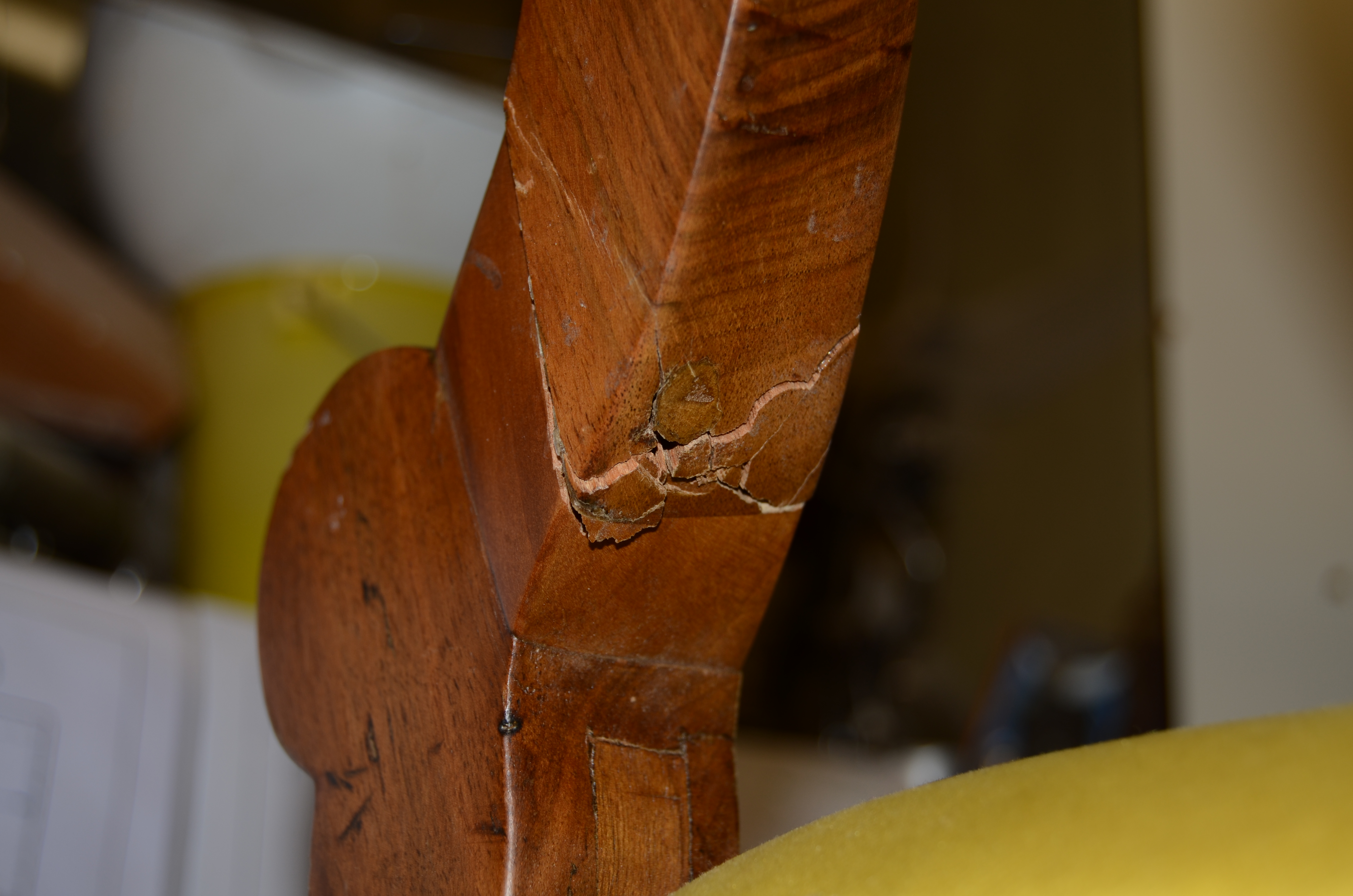 DSC_5638.JPG