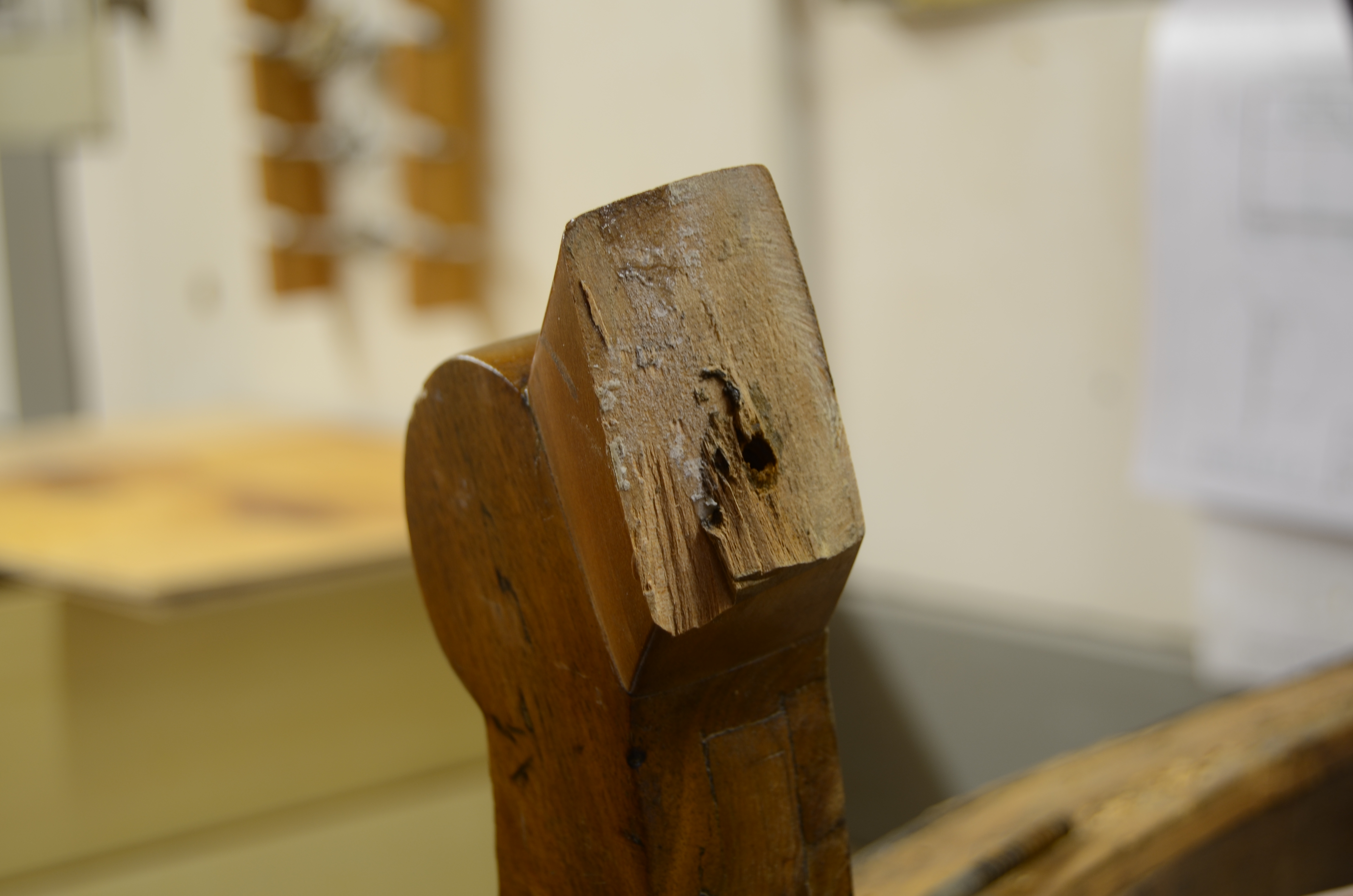 DSC_5838.JPG