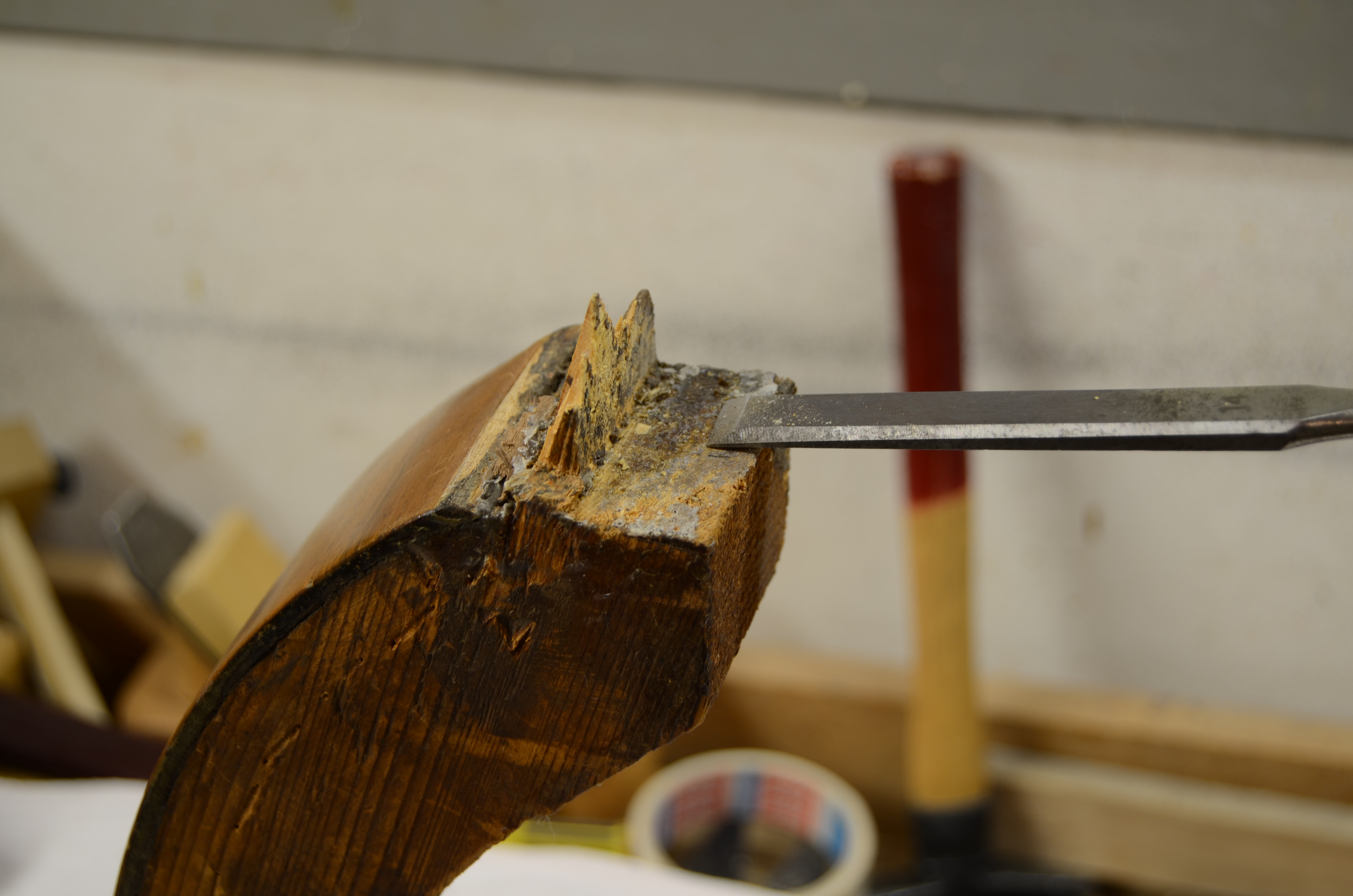 DSC_5926.JPG