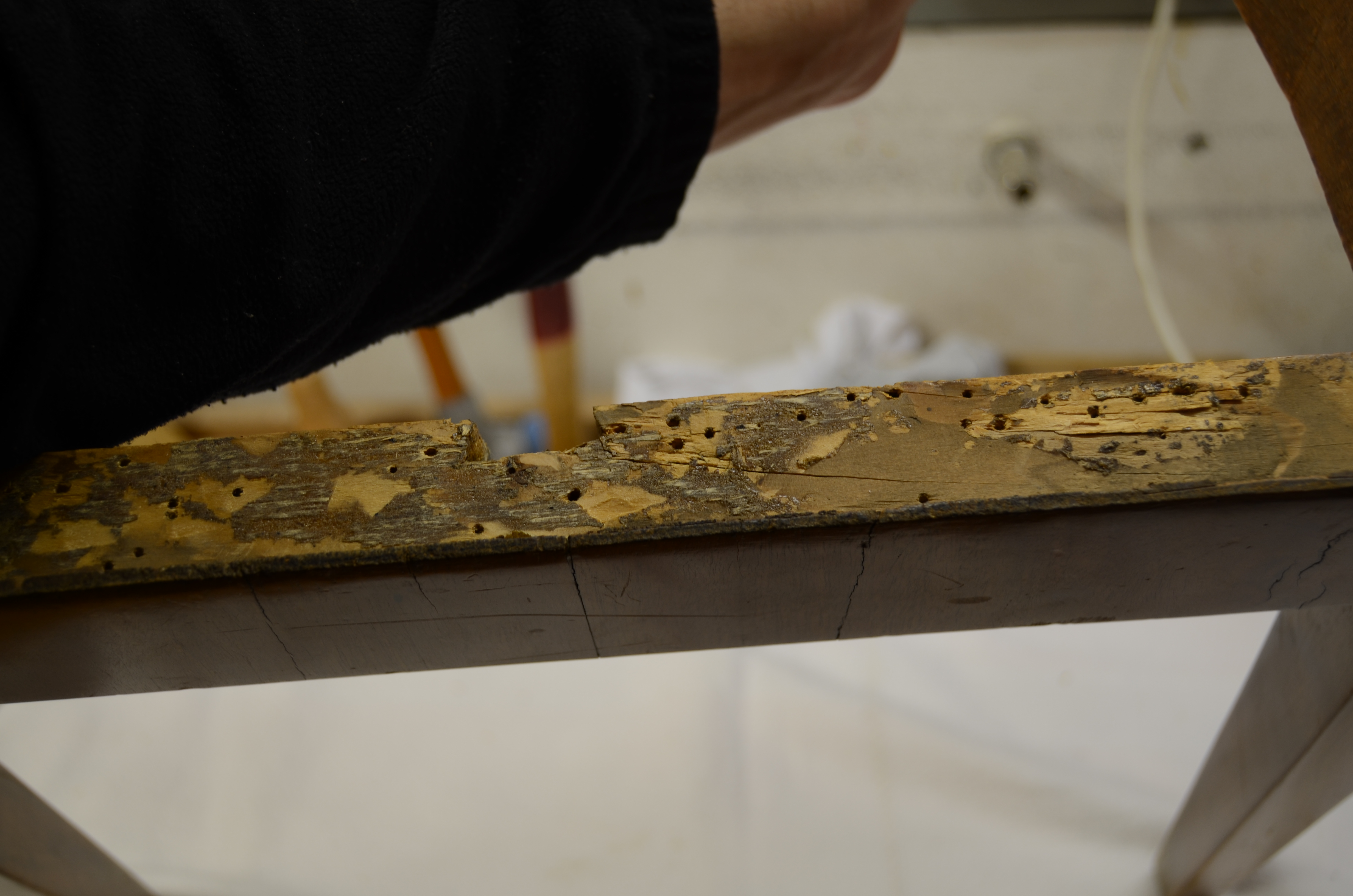 DSC_5953.JPG