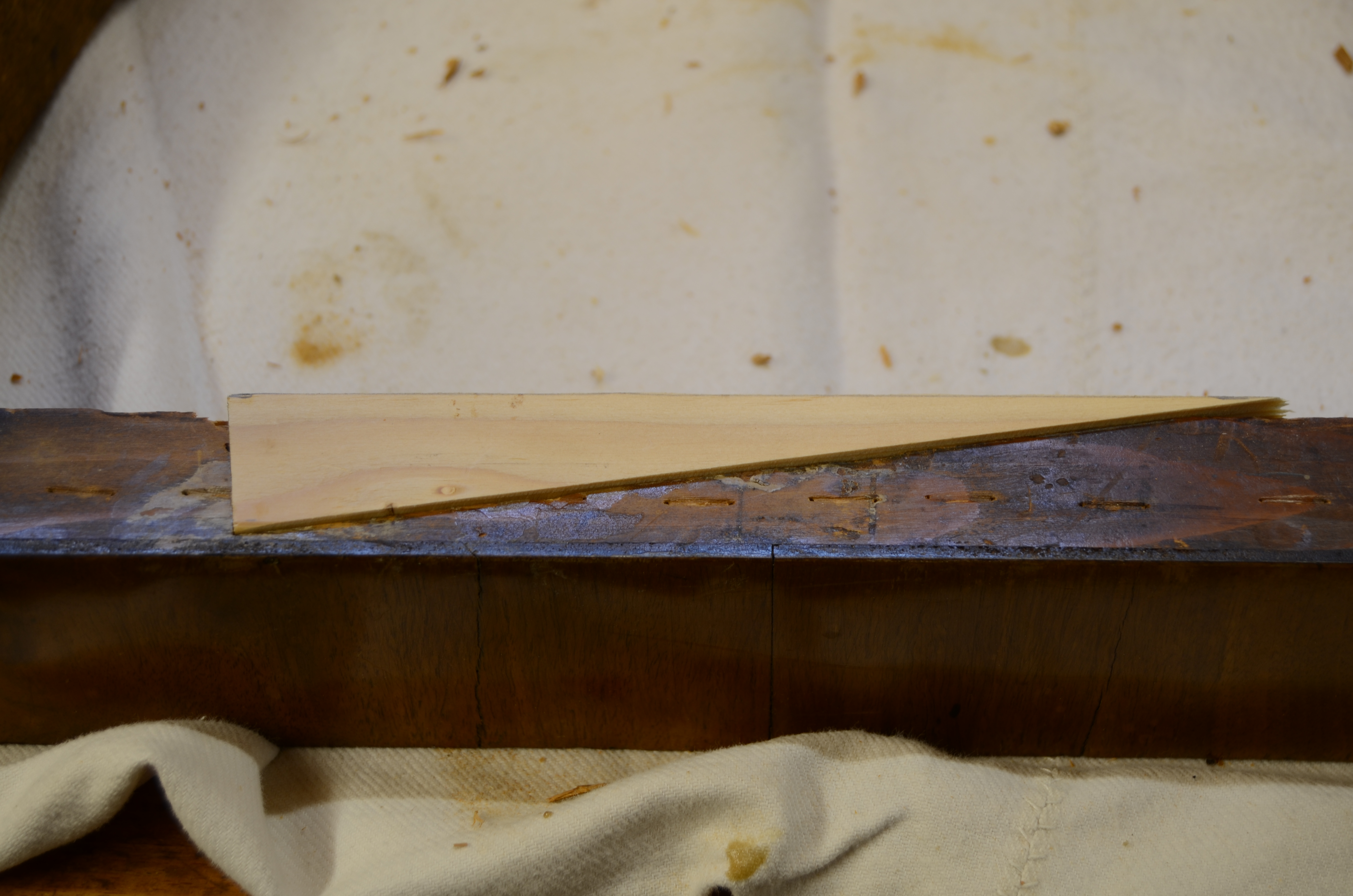 DSC_5968.JPG