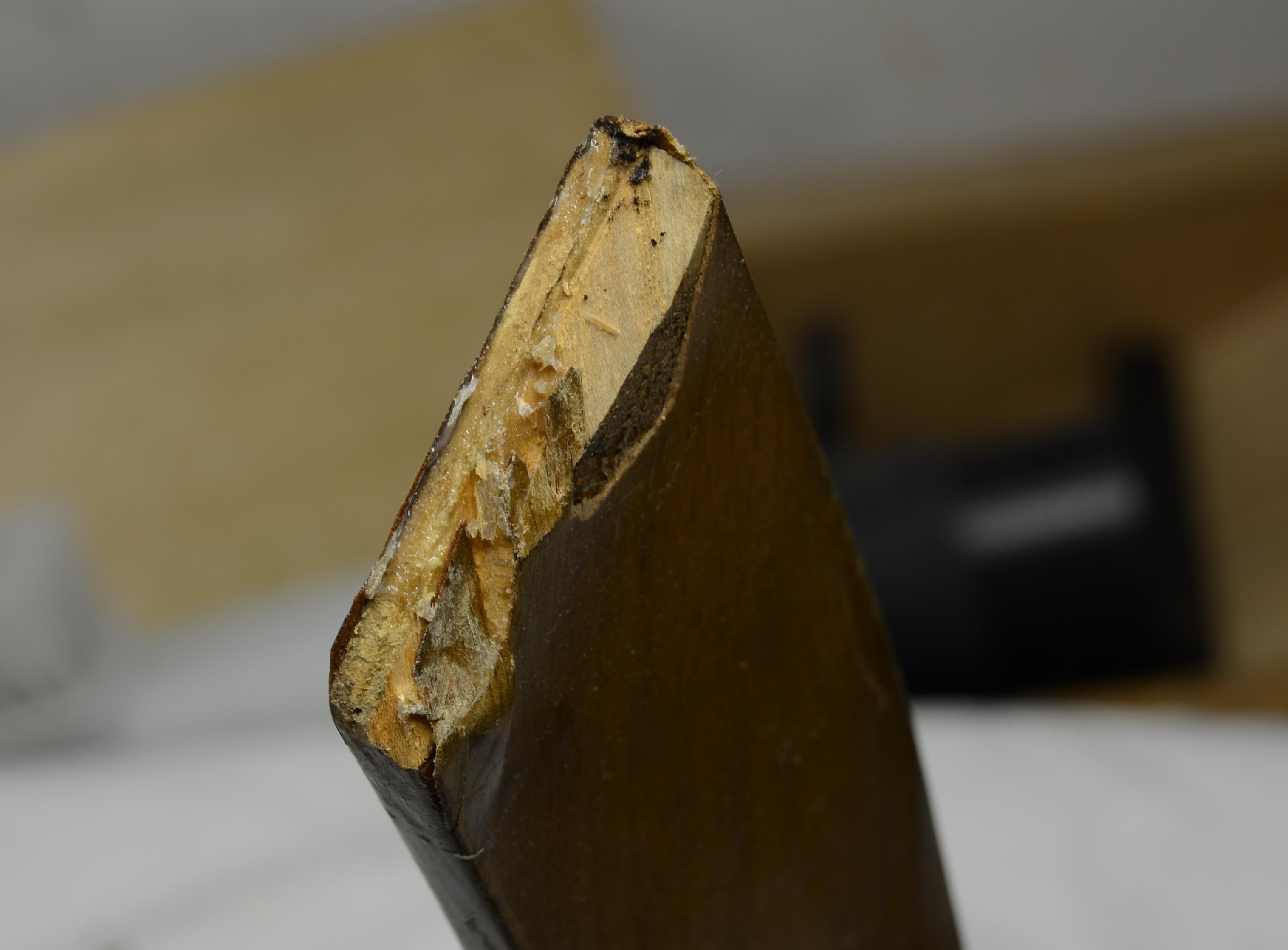 DSC_6094_c.jpg