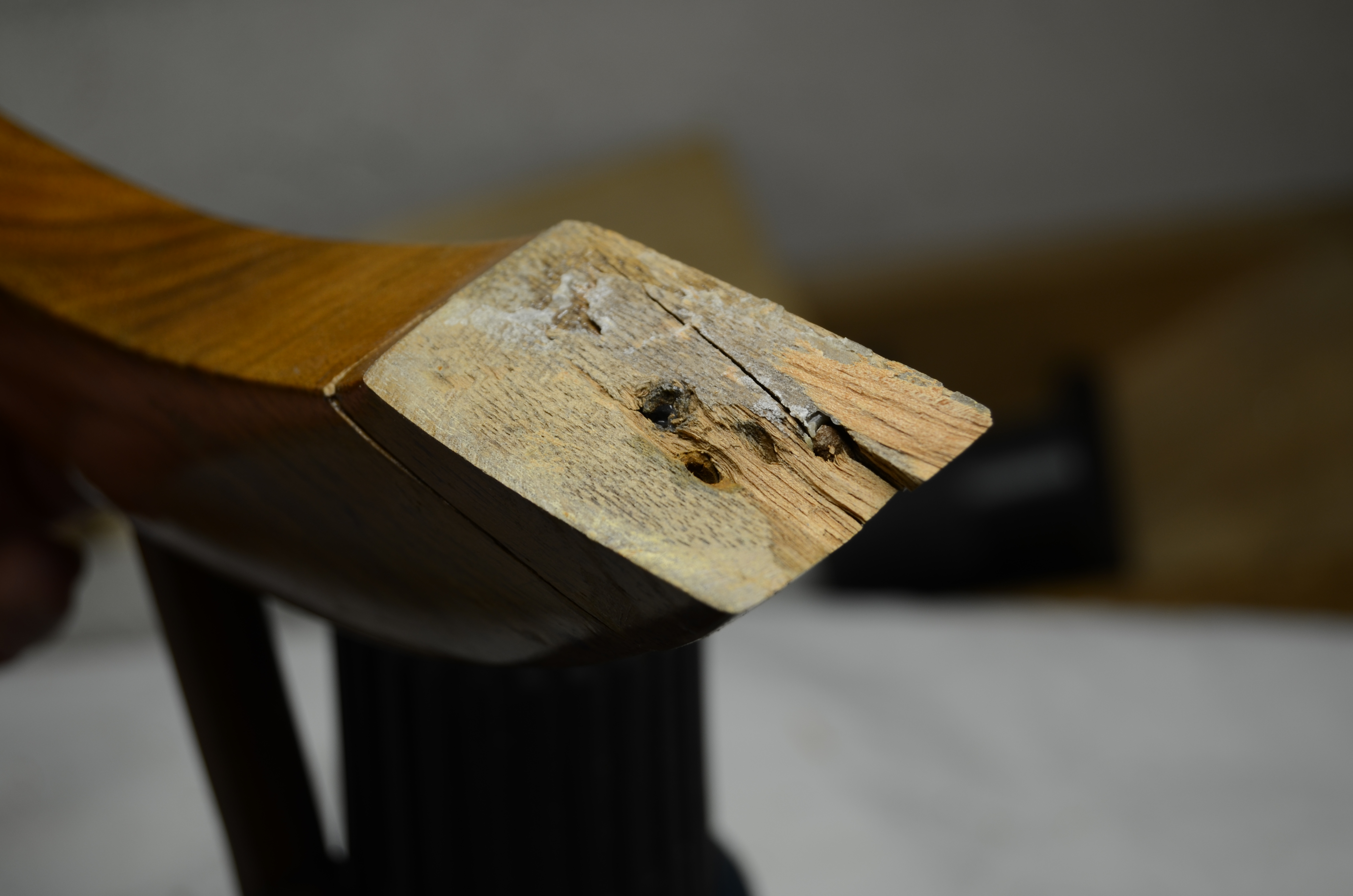 DSC_6098.JPG
