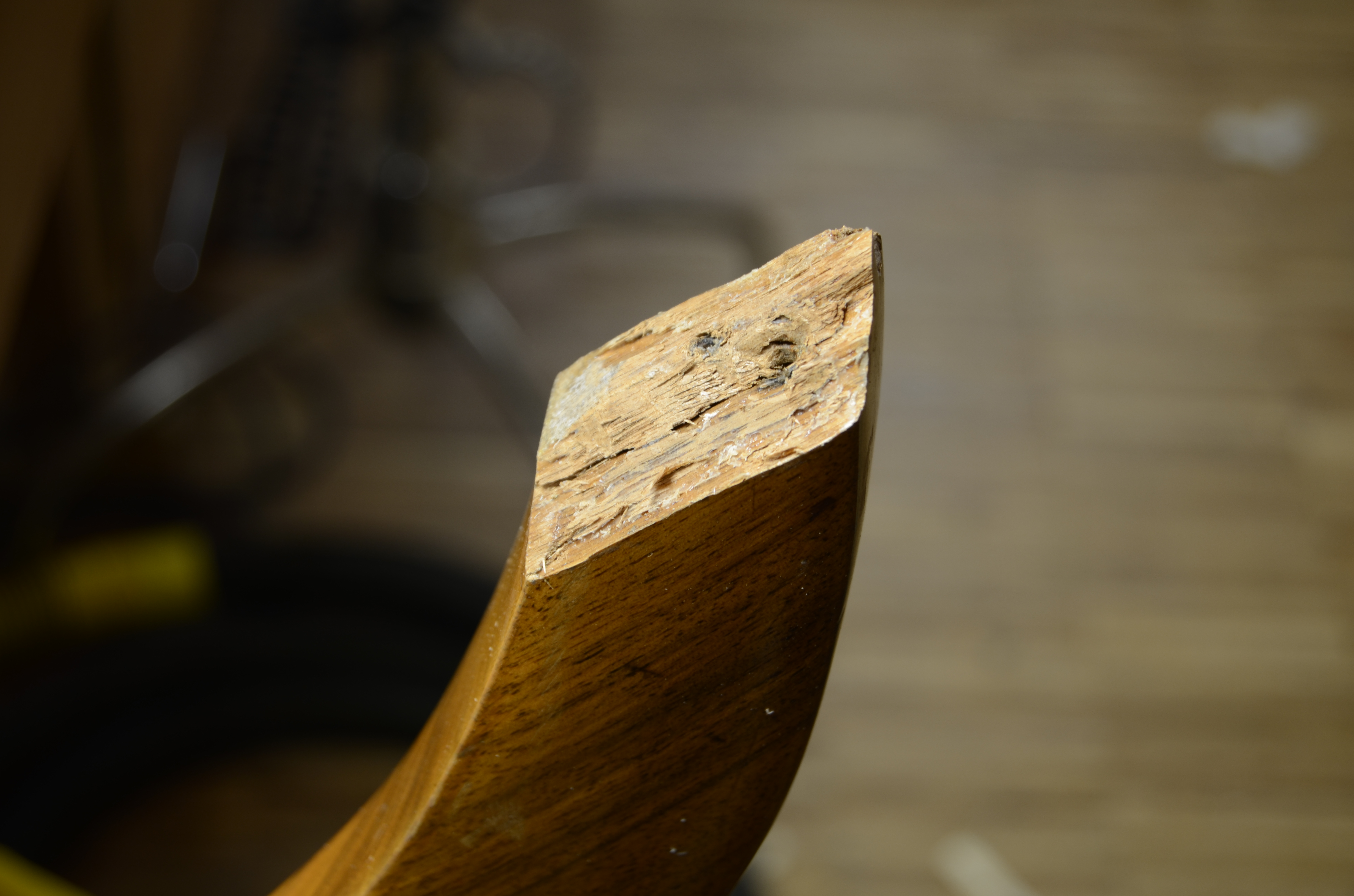 DSC_6117.JPG