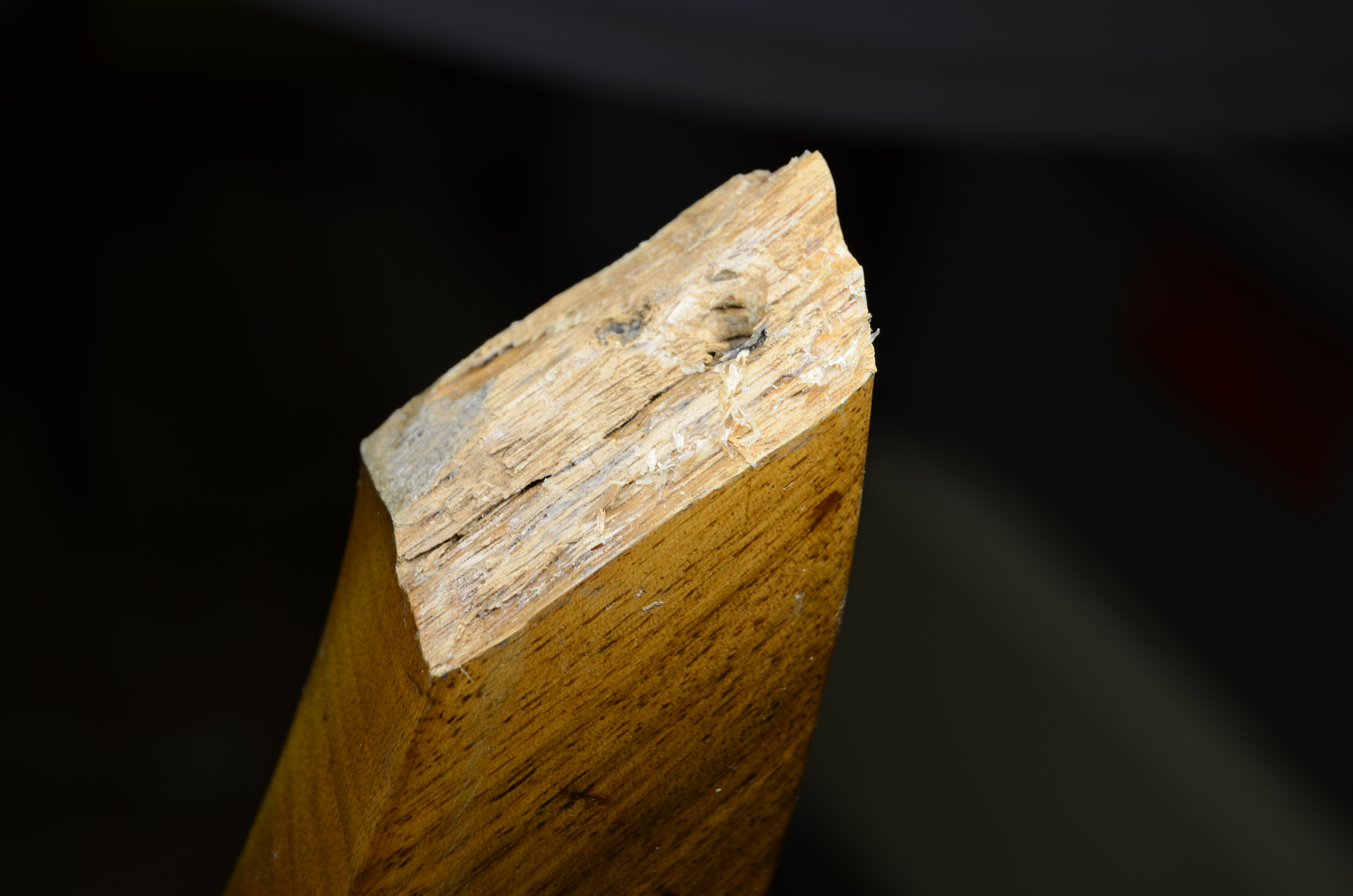 DSC_6157.JPG