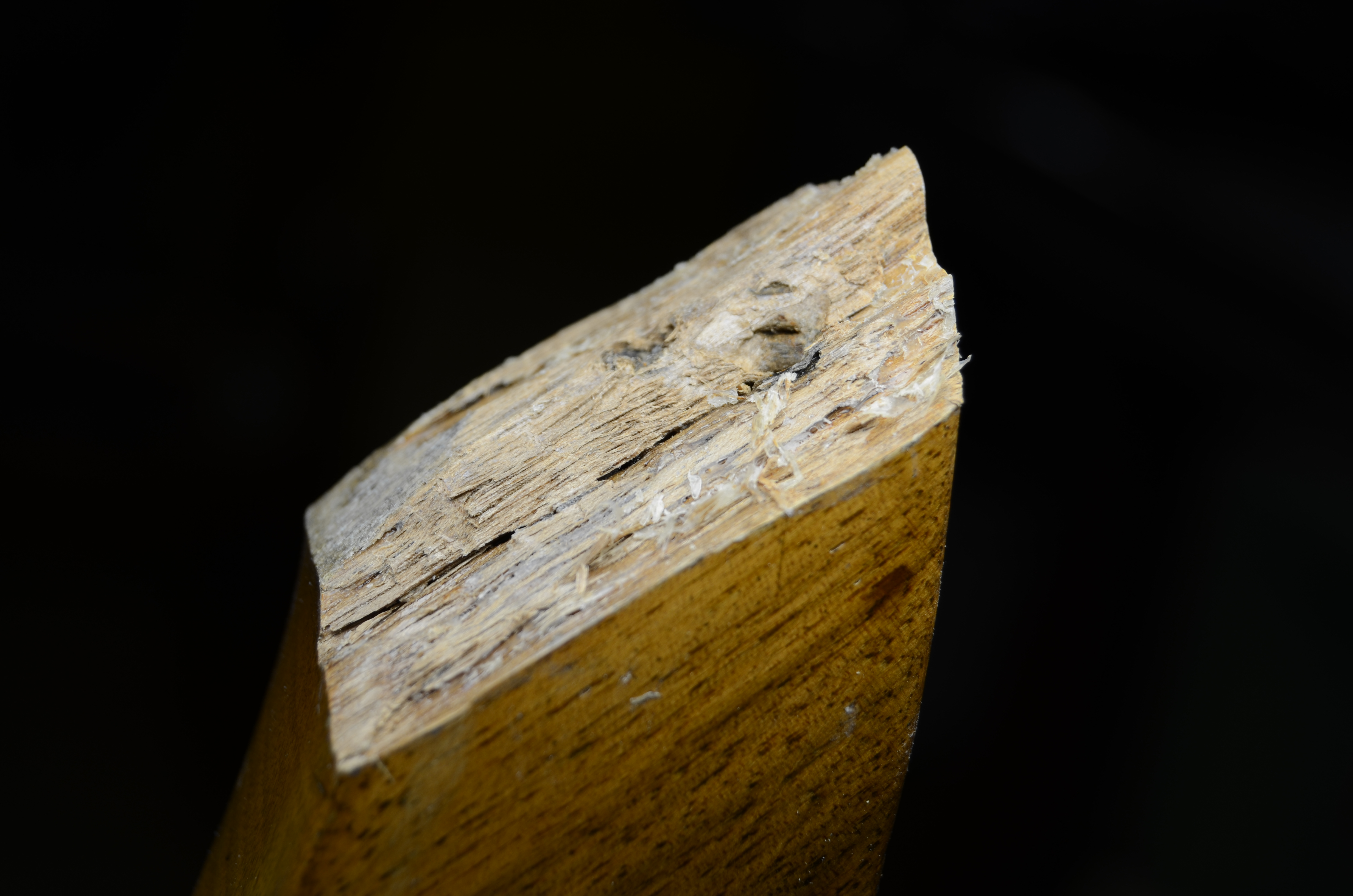 DSC_6166.JPG